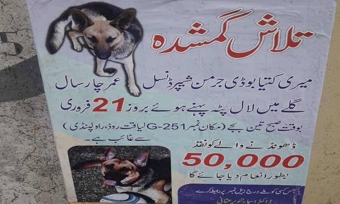 Pets’ Kidnapping for Ransom and Reproduction