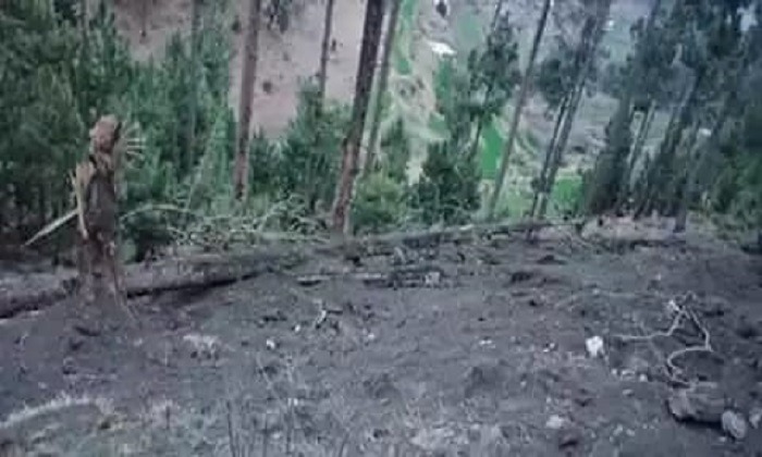 Indian Pilots Booked for Killing Pakistani Trees